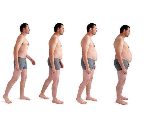 8 Causes of Pot Belly Causes of Pot Belly, Fast Food, wrong foods