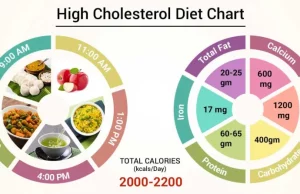 7 Causes of Body Got High Cholesterol High cholesterol, Daily food, Weight loss, Certain diseases
