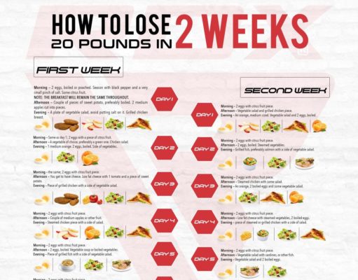 Best Diet for Fast Weight Loss: A Journey to a Slimmer You Best diet for fast weight loss