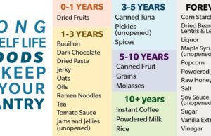 Best Foods to Buy for Long-Term Storage: A Guide to Pantry Preparedness Best foods to buy for long term storage