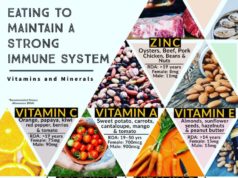 Recommended Dietary Allowance for a Healthy Immune System Recommended Dietary Allowance for healthy immune system