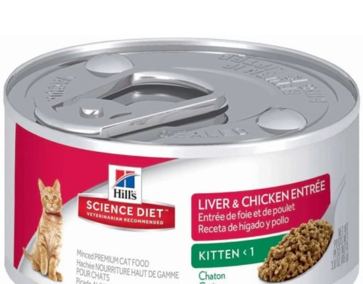 Is Science Diet a Good Cat Food? Is science diet a good cat food