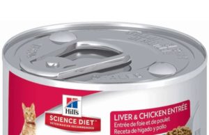Is Science Diet Good for Cats? A Comprehensive Review Is science diet good for cats