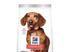 Is Science Diet a Good Dog Food? Unpacking the Science Is science diet a good dog food