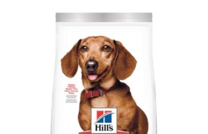 Is Science Diet a Good Dog Food? Unpacking the Science Is science diet a good dog food