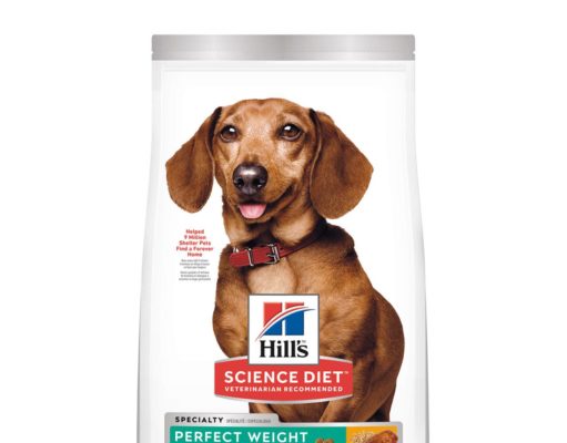Is Science Diet a Good Dog Food? Unpacking the Science Is science diet a good dog food