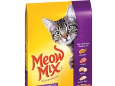 Best Food Brands for Kittens: Fueling Tiny Furry Engines Best food brands for kittens