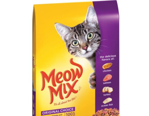 Best Food Brands for Kittens: Fueling Tiny Furry Engines Best food brands for kittens