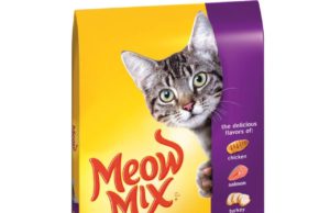 Best Food Brands for Cats: A Guide to Purrfect Nutrition Best food brands for cats