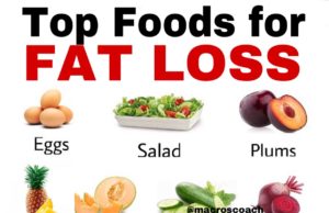 The Best Diet to Lose Fat: A Guide to Sustainable Weight Loss Best diet to lose fat