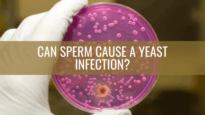 Yeast infections prevent remedies women rid Can diet cause yeast infection