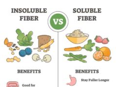 Types of Dietary Fiber: A Comprehensive Guide Types of dietary fiber