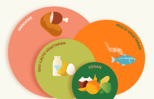 Whats a Vegetarian Diet: A Comprehensive Guide What's vegetarian diet
