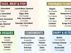 How Long Do Foods Last: A Guide to Safe Storage How long do foods last