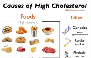 Is Keto Diet Good for High Cholesterol? Is keto diet good for high cholesterol