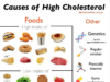 What Diet for High Cholesterol: A Guide to Lowering Your Numbers What diet for high cholesterol