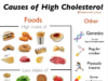 Whats the Best Diet for High Cholesterol? What is the best diet for high cholesterol