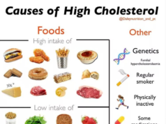 Whats the Best Diet for High Cholesterol? What is the best diet for high cholesterol