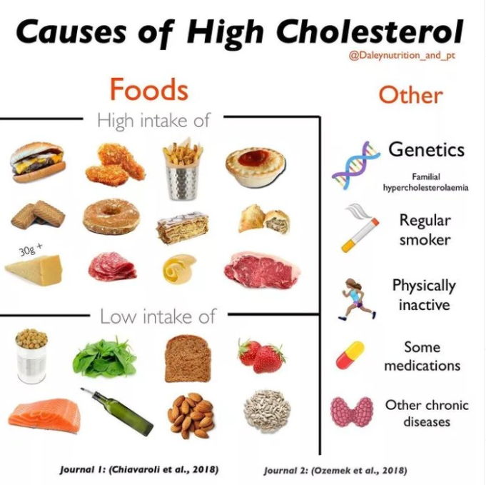 Cholesterol food lowering healthyfamilyproject fruits determine rdn dietary intake What is the best diet for high cholesterol