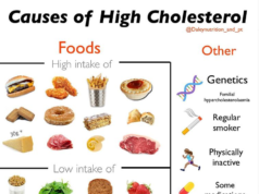 What Diet for High Cholesterol:  A Guide to Lowering Your Numbers What diet for high cholesterol