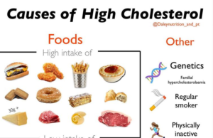 What Diet for High Cholesterol: A Guide to Lowering Your Numbers What diet for high cholesterol