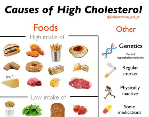 What Diet for High Cholesterol: A Guide to Lowering Your Numbers What diet for high cholesterol