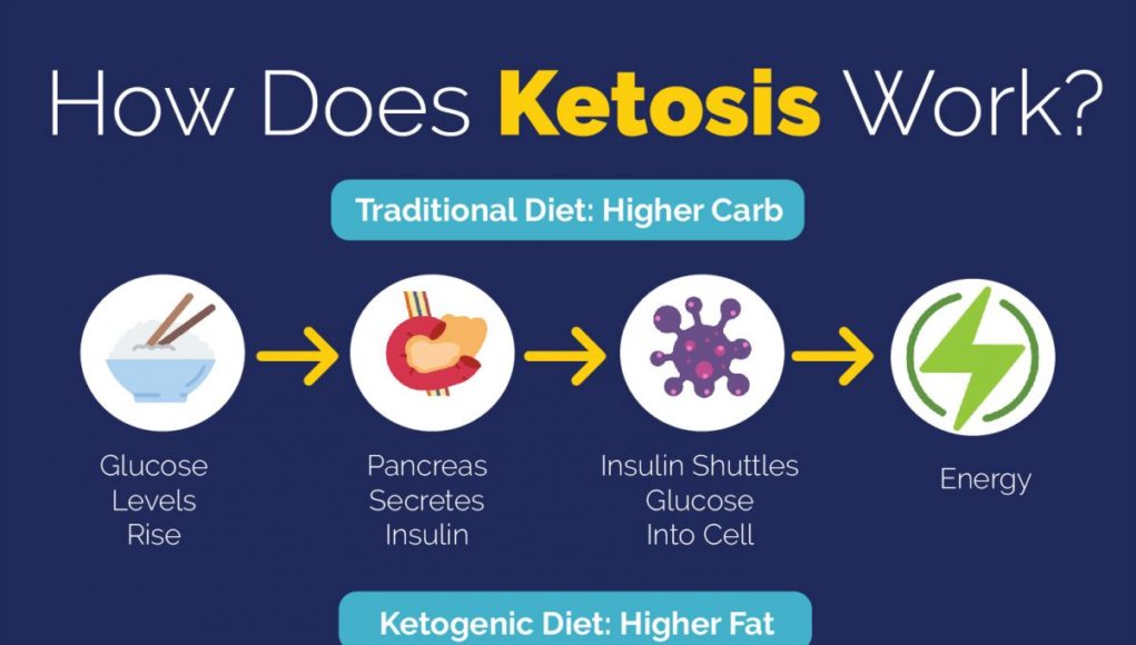 How Does the Keto Diet Work: A Fat-Burning Journey How does keto diet work