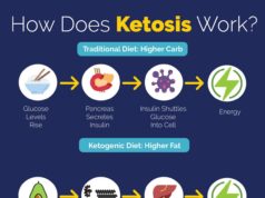 How Does the Keto Diet Work: A Fat-Burning Journey How does keto diet work