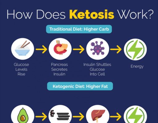 How Does the Keto Diet Work: A Fat-Burning Journey How does keto diet work