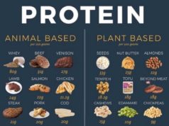 How to Add Protein to Your Diet How to add protein to diet