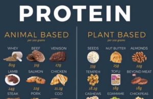 How to Add Protein to Your Diet How to add protein to diet