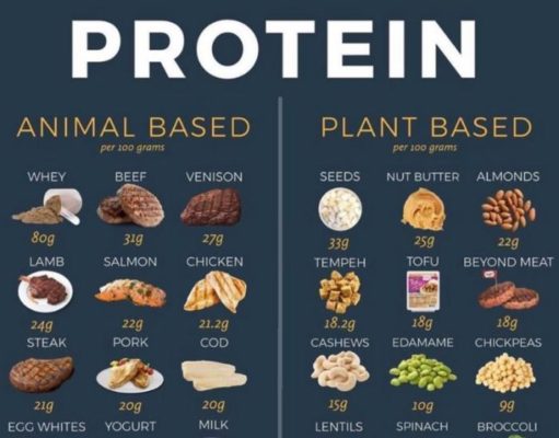 How to Add Protein to Your Diet How to add protein to diet
