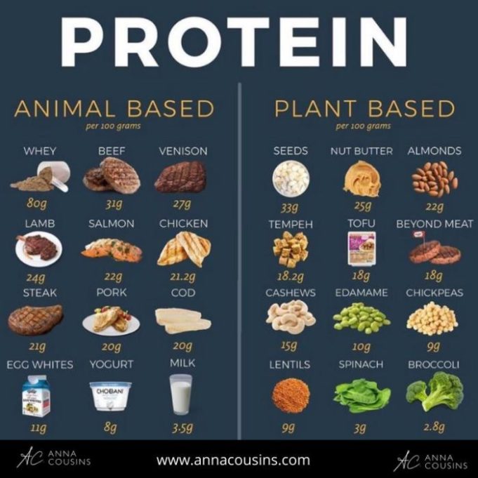 Fitonomy How to add protein to diet