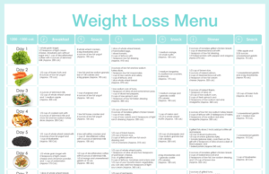 Popular Diet Plans: A Guide to Making Informed Choices Popular diet plans