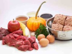 Is Raw Diet Good for Dogs? Exploring the Benefits and Risks Is raw diet good for dogs