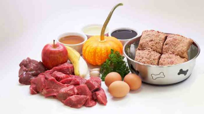Barf dieta vitamina cani pup nervous owners petyoo Is raw diet good for dogs