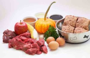 Is a Raw Diet Good for Dogs? Is a raw diet good for dogs