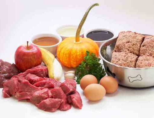 Is a Raw Diet Good for Dogs? Is a raw diet good for dogs
