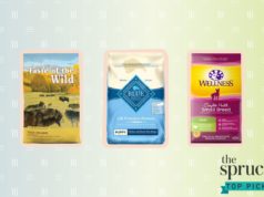 Best Food Brands for Puppies: Nourishing Tiny Tummies Best food brands for puppies