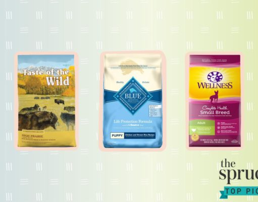 Best Food Brands for Puppies: Nourishing Tiny Tummies Best food brands for puppies