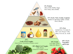What is Diet Definition: Understanding the Basics of Nutrition What is diet definition