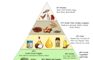 What is Diet Definition: Understanding the Basics of Nutrition What is diet definition