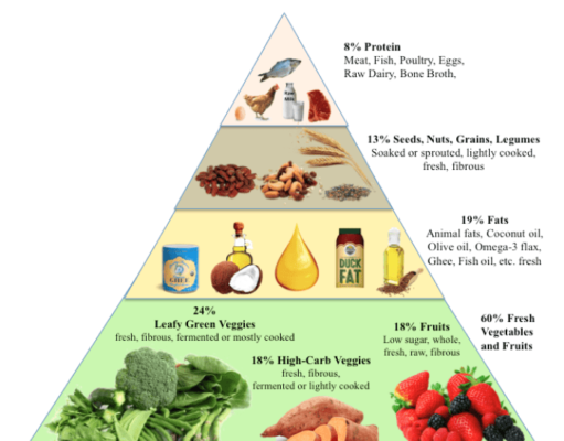 What is Diet Definition: Understanding the Basics of Nutrition What is diet definition