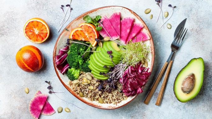 Lux plant ethical Is vegan diet healthier