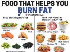 How to Start a Diet: A Guide to Healthy Habits How to start a diet