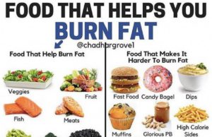 How to Start a Diet: A Guide to Healthy Habits How to start a diet