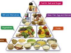 Recommended Dietary Intake: A Guide to Healthy Eating Recommended dietary intake