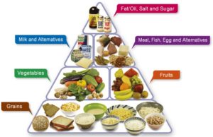 Recommended Dietary Intake: A Guide to Healthy Eating Recommended dietary intake