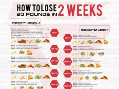 Fast and Healthy Weight Loss: A Busy Persons Guide Fast and healthy weight loss plan for busy people