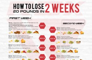 Fast and Healthy Weight Loss: A Busy Persons Guide Fast and healthy weight loss plan for busy people